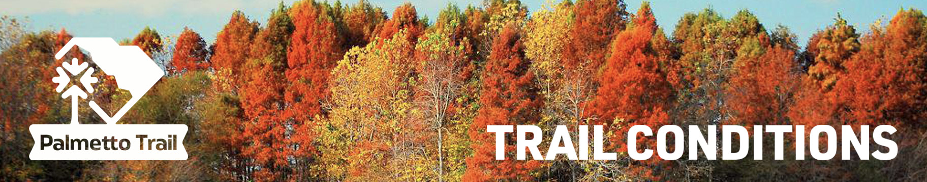 Palmetto Conservation