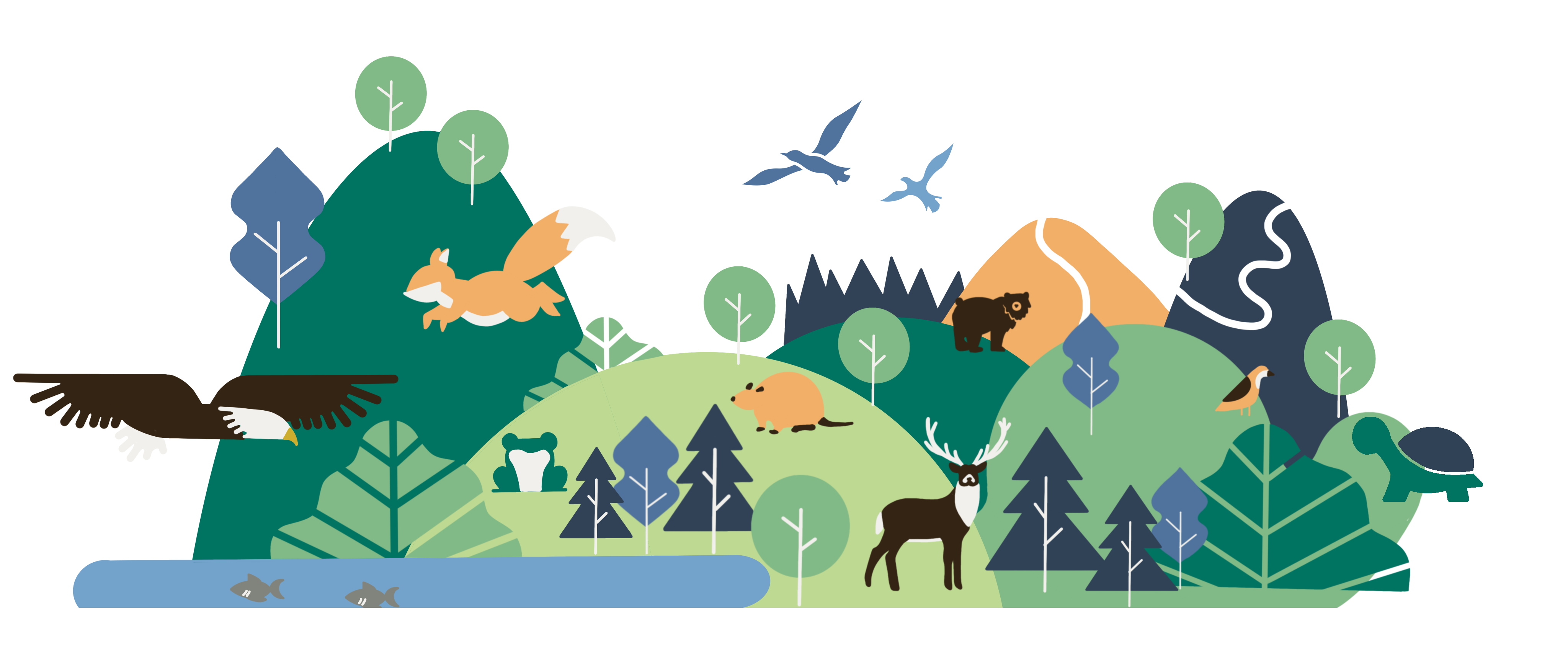 PARC RECREO FORESTIER / RELIEFS MAURICIENS